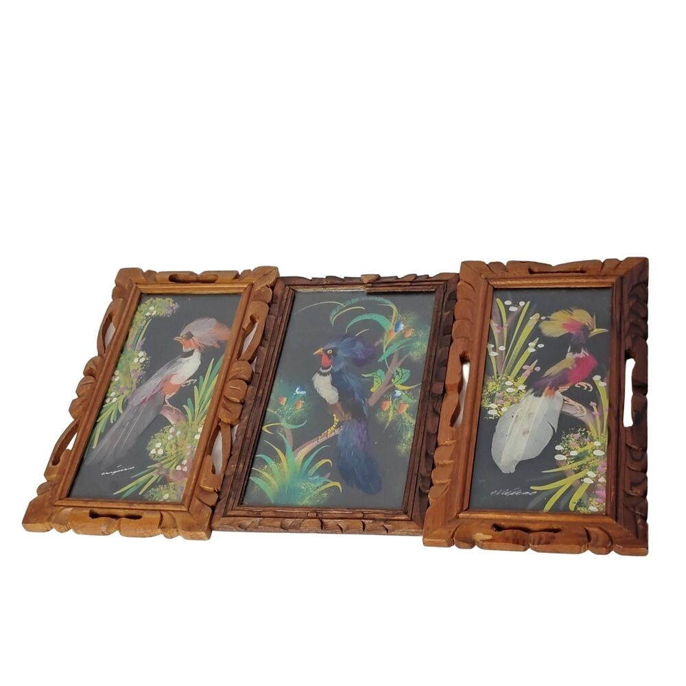 Mexican Feathercraft Bird Folk Art Handcrafted Wood Frame 4x9 Mexico (3) Vintage